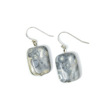 Load image into Gallery viewer, Crazy Lace Agate Earrings

