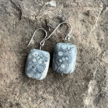 Load image into Gallery viewer, Crazy Lace Agate Earrings
